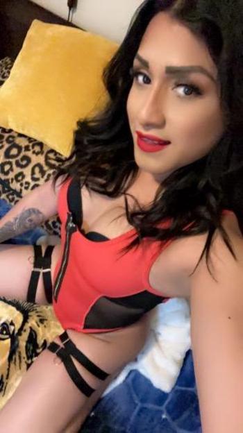 3464106373, transgender escort, Austin